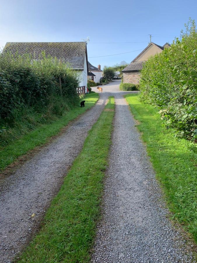 The Reindeer Retreat Buttercup Twin Hotel Kidwelly Exterior photo